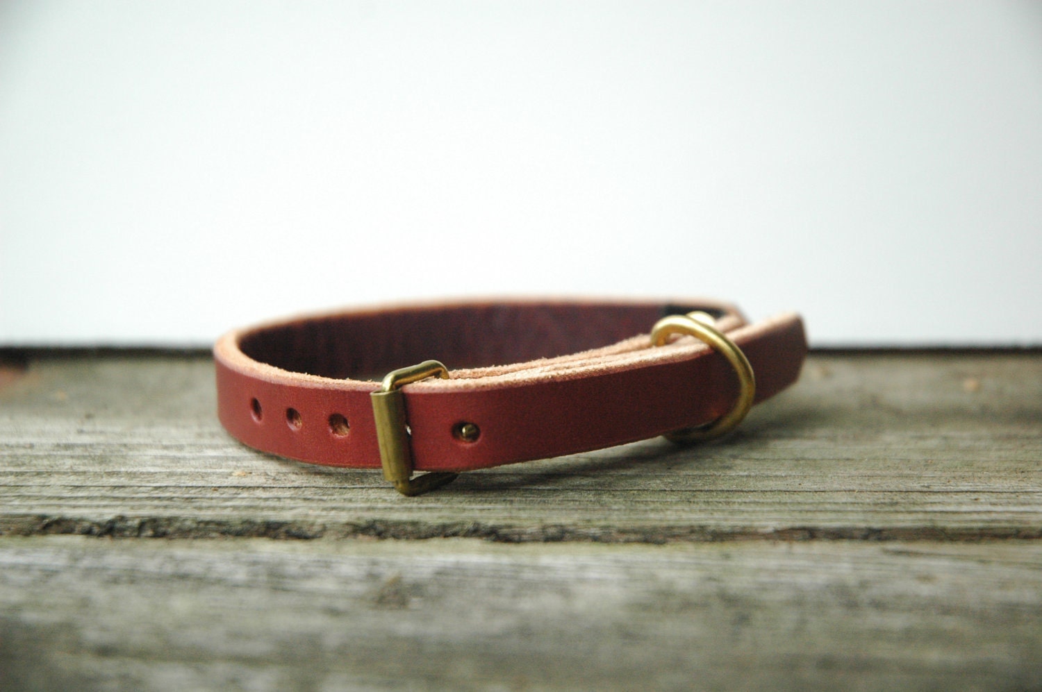 Leather Cat Collar in Cognac with Brass