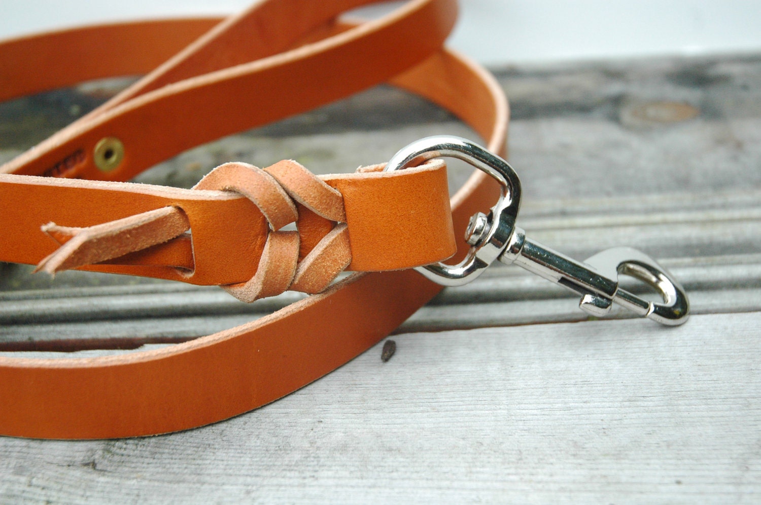 Braided dog leash