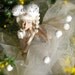 6" x 4.5" photographic print: The May Queen Hears The Night Time Whispers of The Gorse