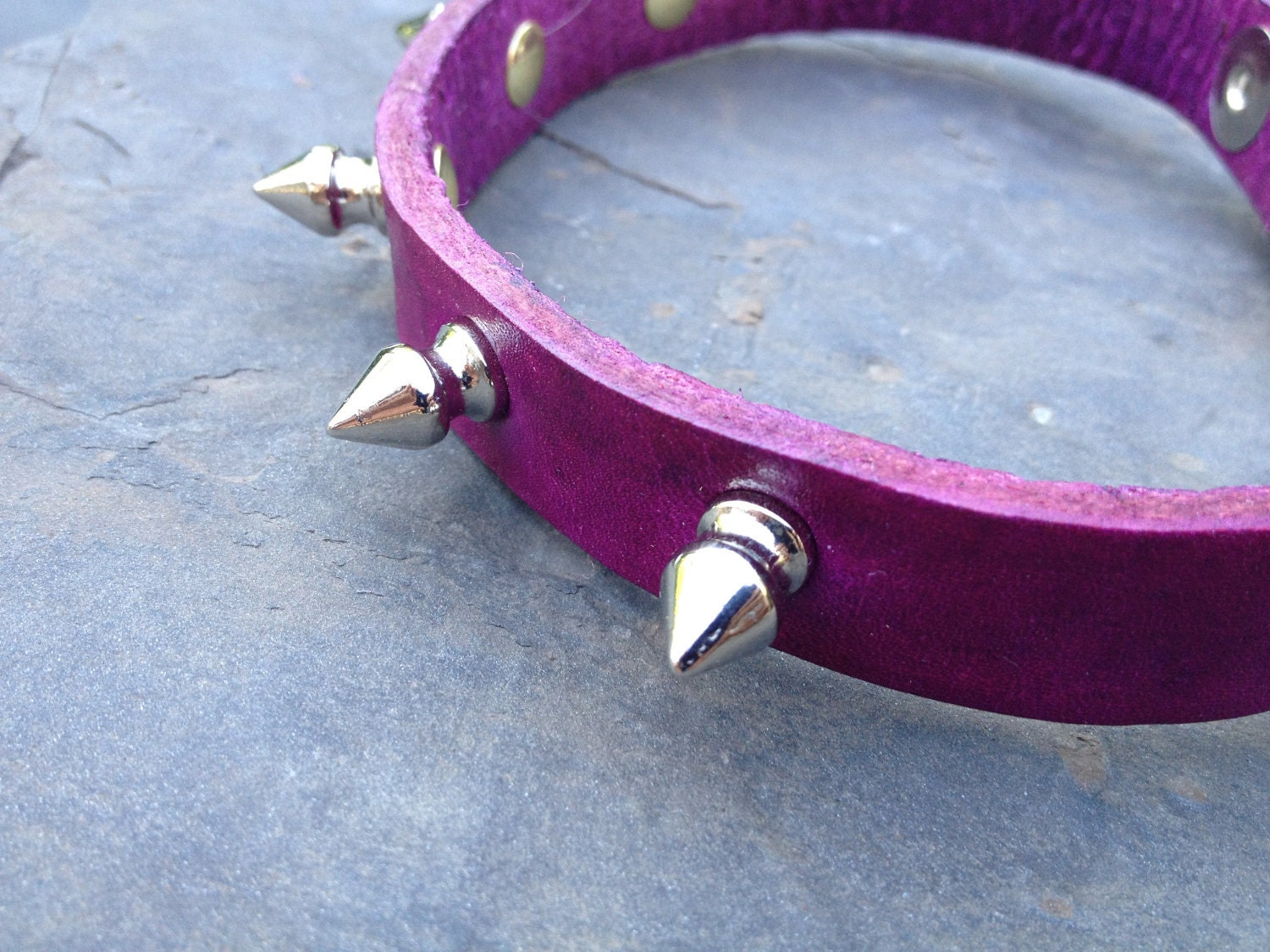 Custom Embellished Leather Dog Collar - Spiked