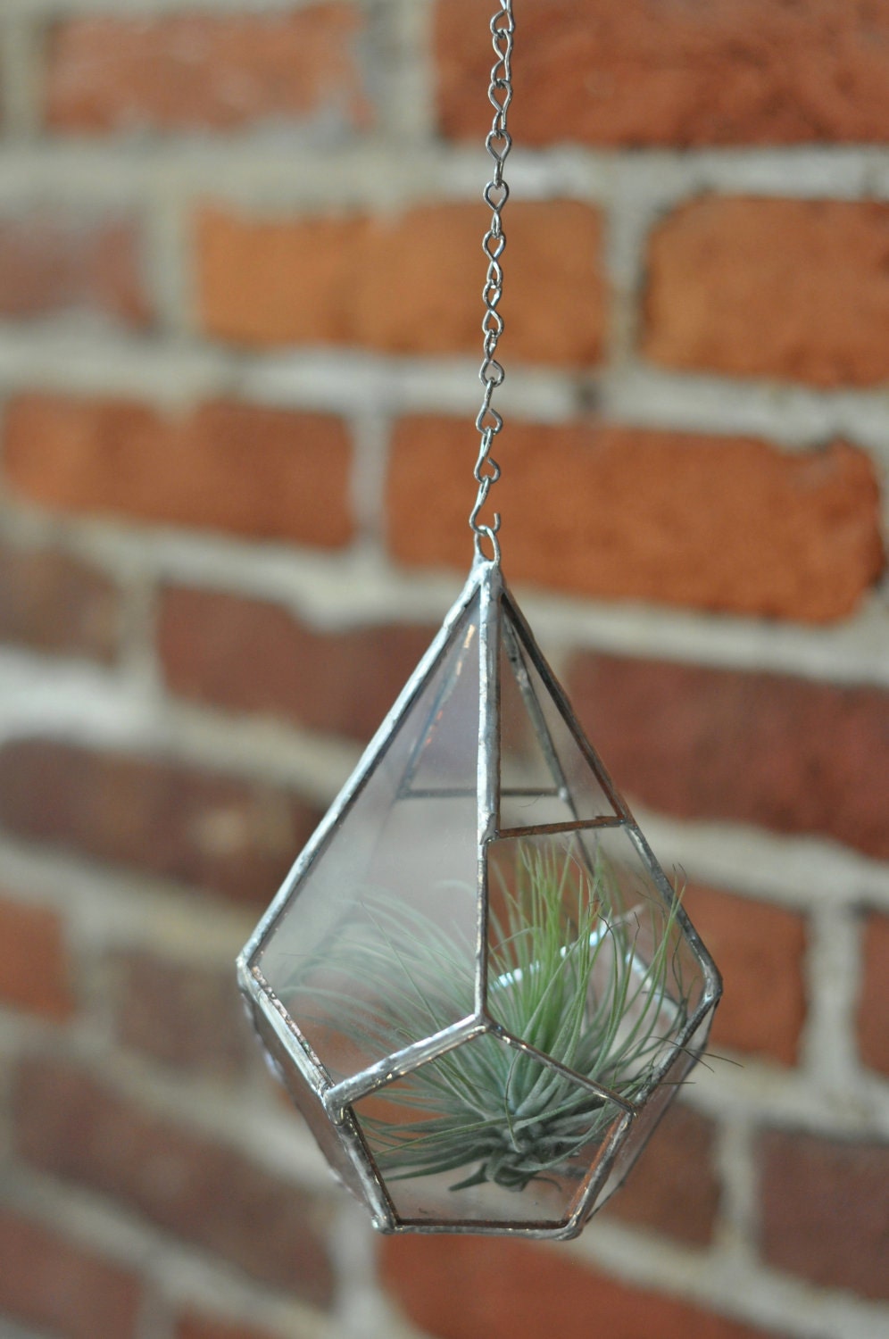 Hanging Teardrop Glass Terrarium -- for air plant terrarium or small succulent -- stained glass -- terrarium supplies -- eco friendly