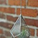 Hanging Teardrop Glass Terrarium -- for air plant terrarium or small succulent -- stained glass -- terrarium supplies -- eco friendly