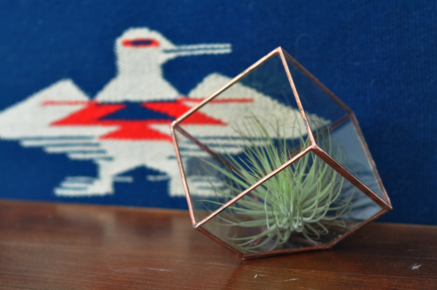 Earth Terrarium Kit, small cube glass planter in copper or silver color -- stained glass -- terrarium supplies -- eco friendly