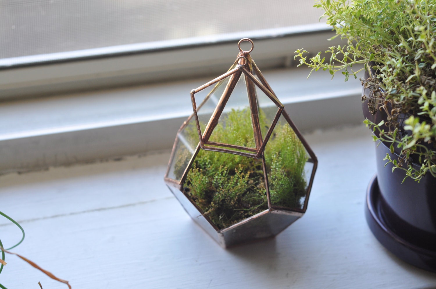 Hanging Teardrop Glass Terrarium with Door -- moss terrarium -- stained glass terrarium -- terrarium supplies -- eco friendly