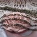 Antique Bronze - Very Dainty Bead Chain --- 1 Yard --- CN - 92