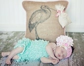 Vintage Stork Customizable Baby Pillow Cover
