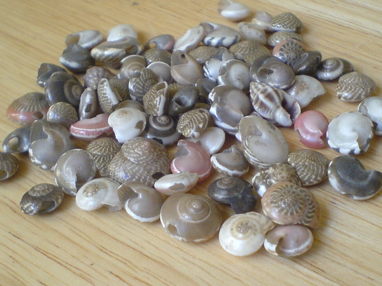 Vintage tiny shell beads assorted colors and shapes lot of 50