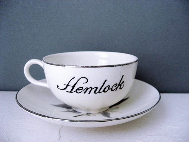 Teacup - Hand Painted Tea Cup - Hemlock