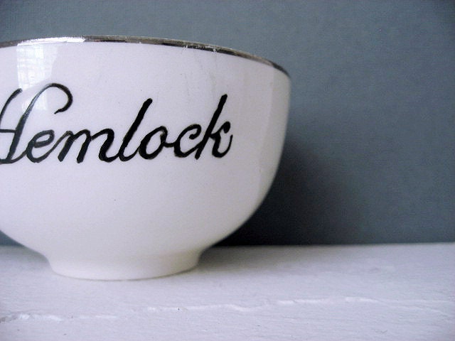 Teacup - Hand Painted Tea Cup - Hemlock
