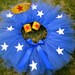 Super Hero Adult XS - Medium Tutu. Extra Small - Medium Super Hero Tutu Costume. ADULT Costume. TEEN costume. Blue tutu