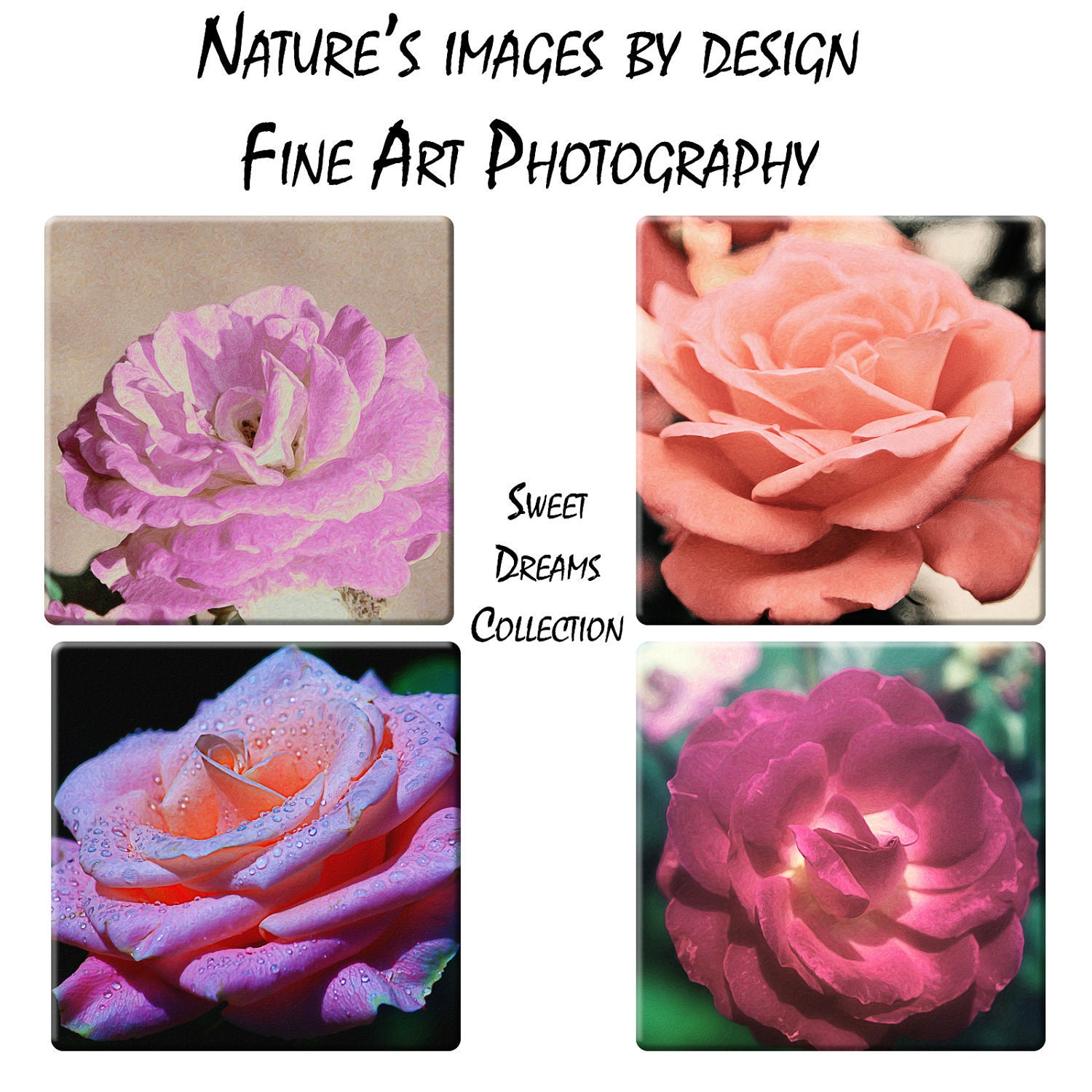 Tile Coaster Set - Four Rose Coasters - Sweet Dreams Collection