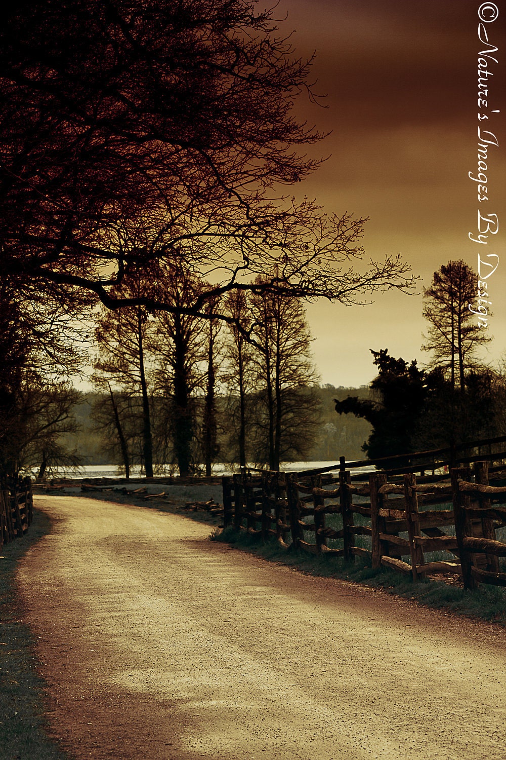Country Road Photo - Dreamy Landscape Image - 8X12 Print