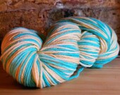 Little Blue Box of Eggs 225yd SW Merino Self-Striping