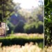 Overlook tree and rock pendant on framed glass- Music on reverse