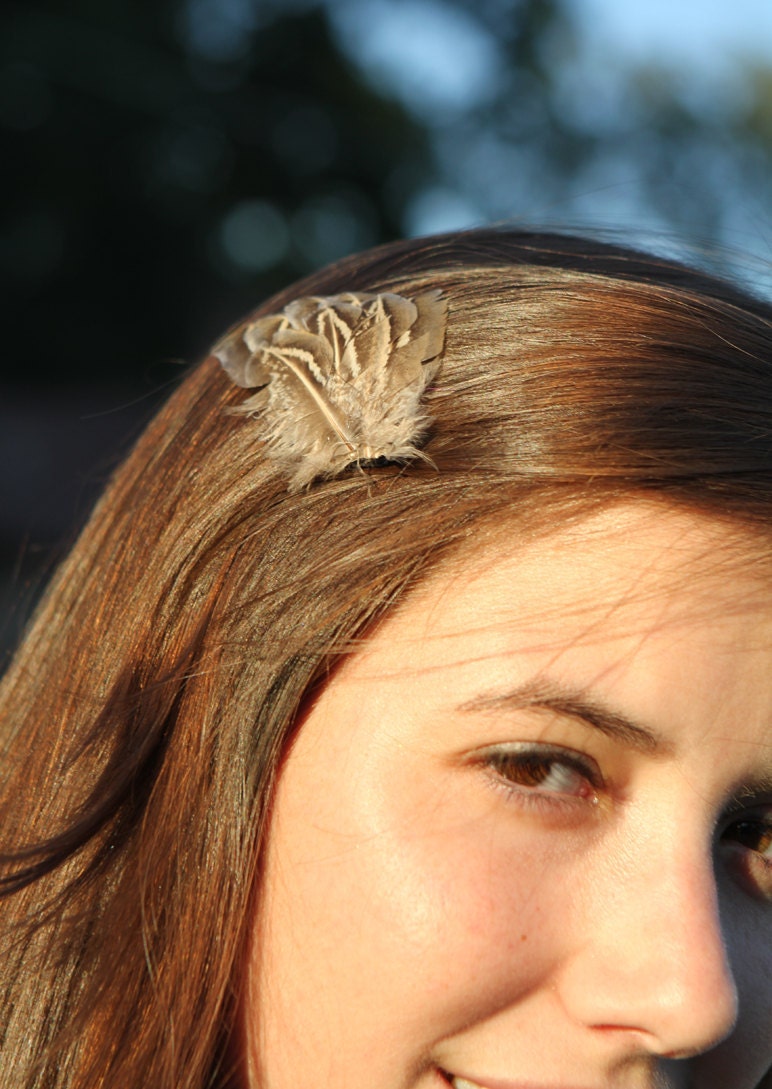 Pheasant Wing Hair Clip Fascinator - Hermes