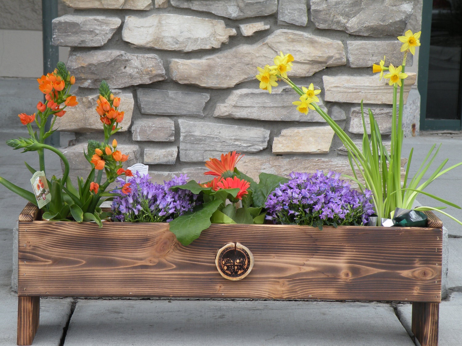Custom Handmade Decorative Cedar Flower Planter or Herb Garden