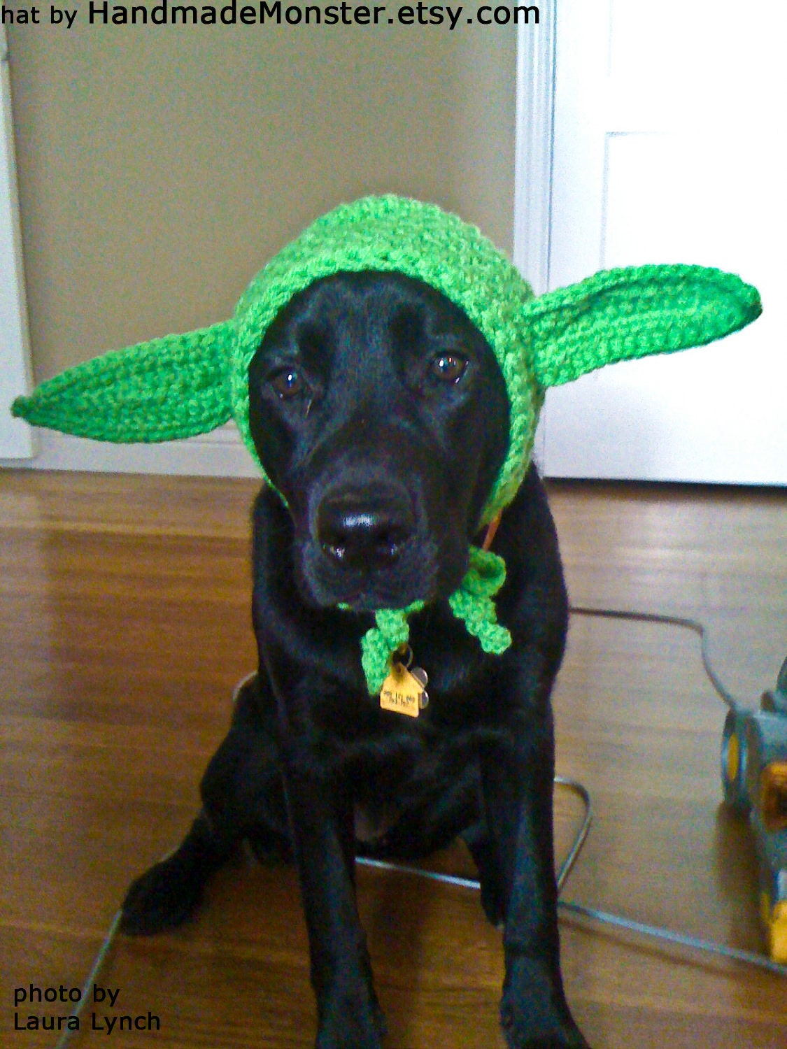 DOG COSTUME HAT star wars yoda inspired medium or large pet costume geekery nerdy costumes jedi photo photography prop