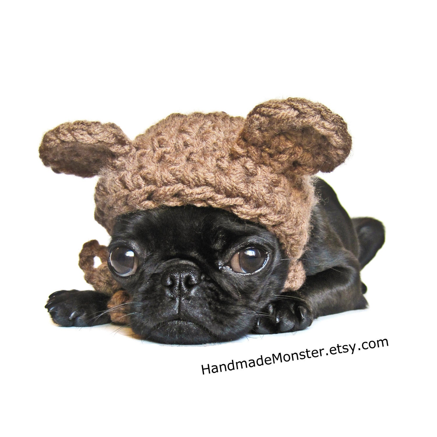 pet costume CROCHET DOG HATS bear hat ewok star wars inspired pet costume custom cat photo props photography props
