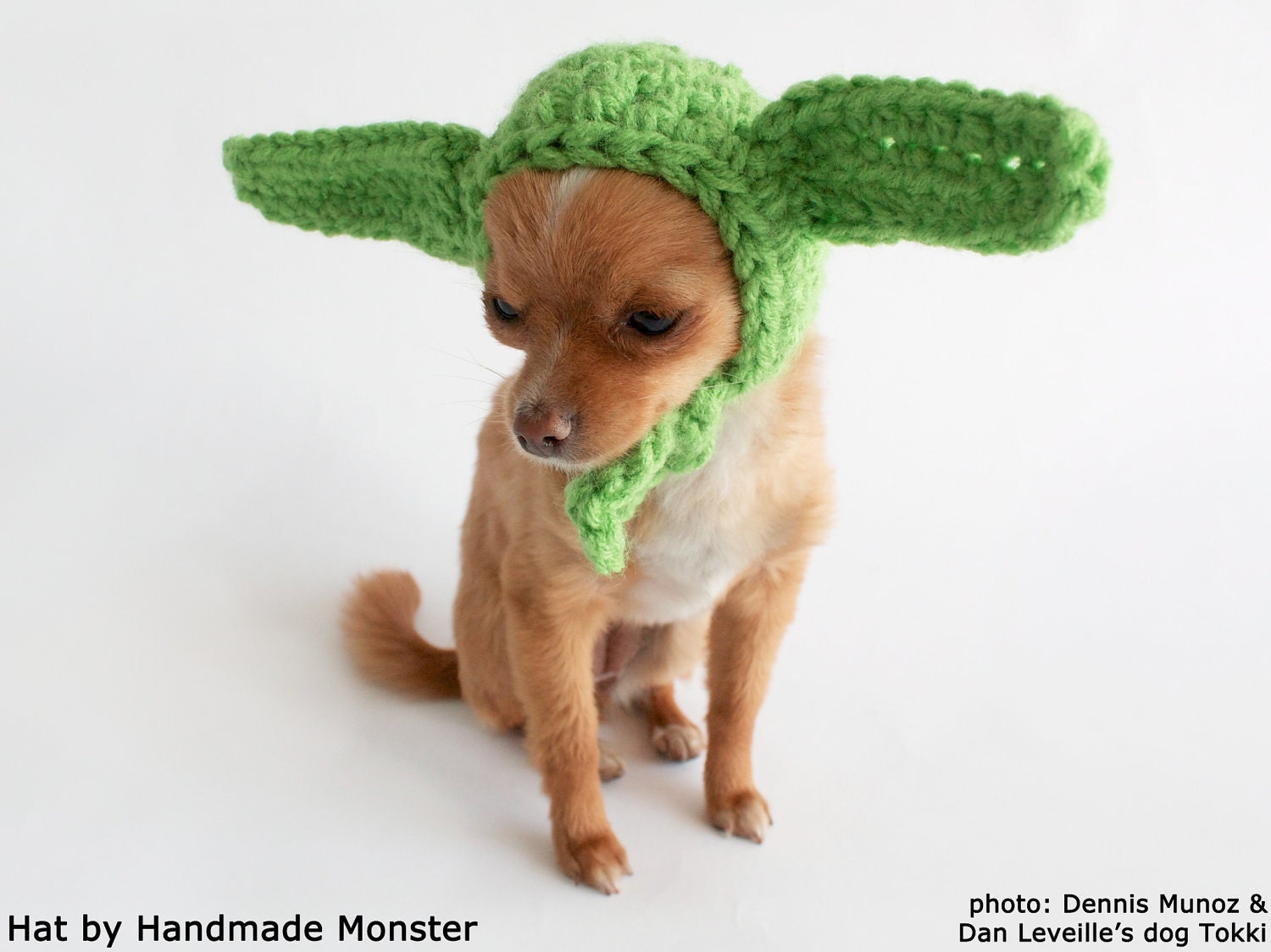 STAR WARS DOG hat costume yoda inspired pet geekery nerdy costumes jedi photo photography prop mashable