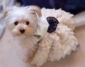 Soft White Elegant Dress for pet, beautiful handmade dog dress. dog fashion