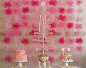 Tulle Backdrop