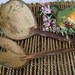 Coconut Shell Salad Servers, Handmade Coconut Utensils