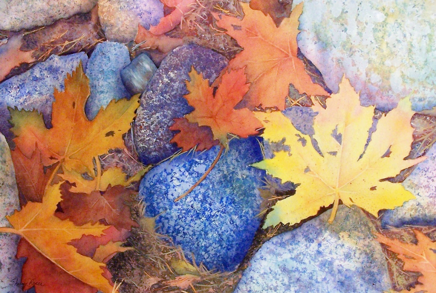 Autumn Leaves and Rocks Giclee Print - sherryroper