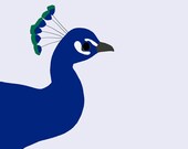 Fine Art Print.  Peacock.  March 13, 2012.