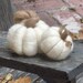 Needle Felted Pumpkins Halloween Fall Autumn Thanksgiving Decor Party Favor