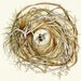 watercolor original painting bumblebee nest