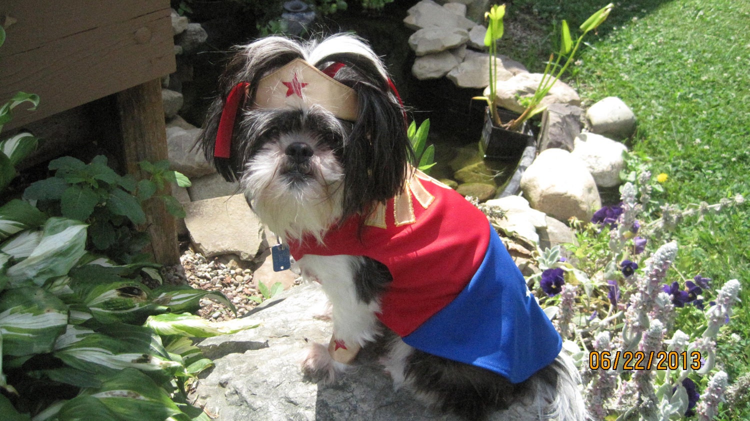 Wonder Woman inspired Dog Costume/Outfit Size Extra Small- Extra Large