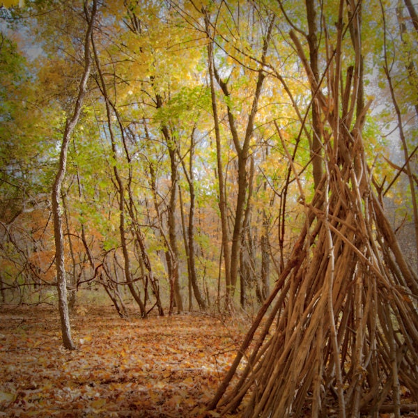 rustic pennsylvania landscape, autumn trees, yellow red fall leaves, forest photo, warm tones "forest constructs 2"