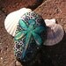 Tender Dragonfly