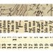 Paper Tape Washi Tape - 7 Gypsies Global 3 rolls, 6 yards each