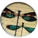 Half Price Green Dragonfly Pocket Mirror With Vintage Text