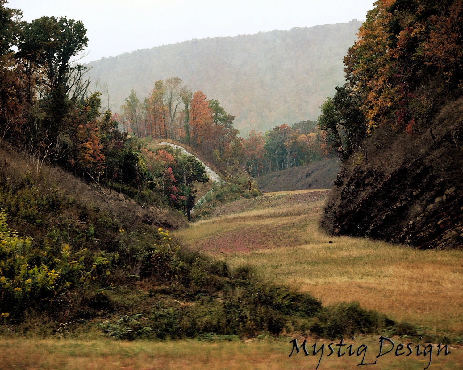 Ohio River Valley landscape Buckeyes Ohio by