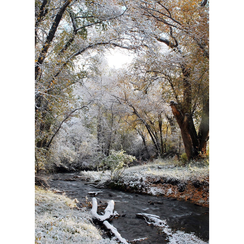 Winter frost stream fall colors snow fine art photograph print 5x7