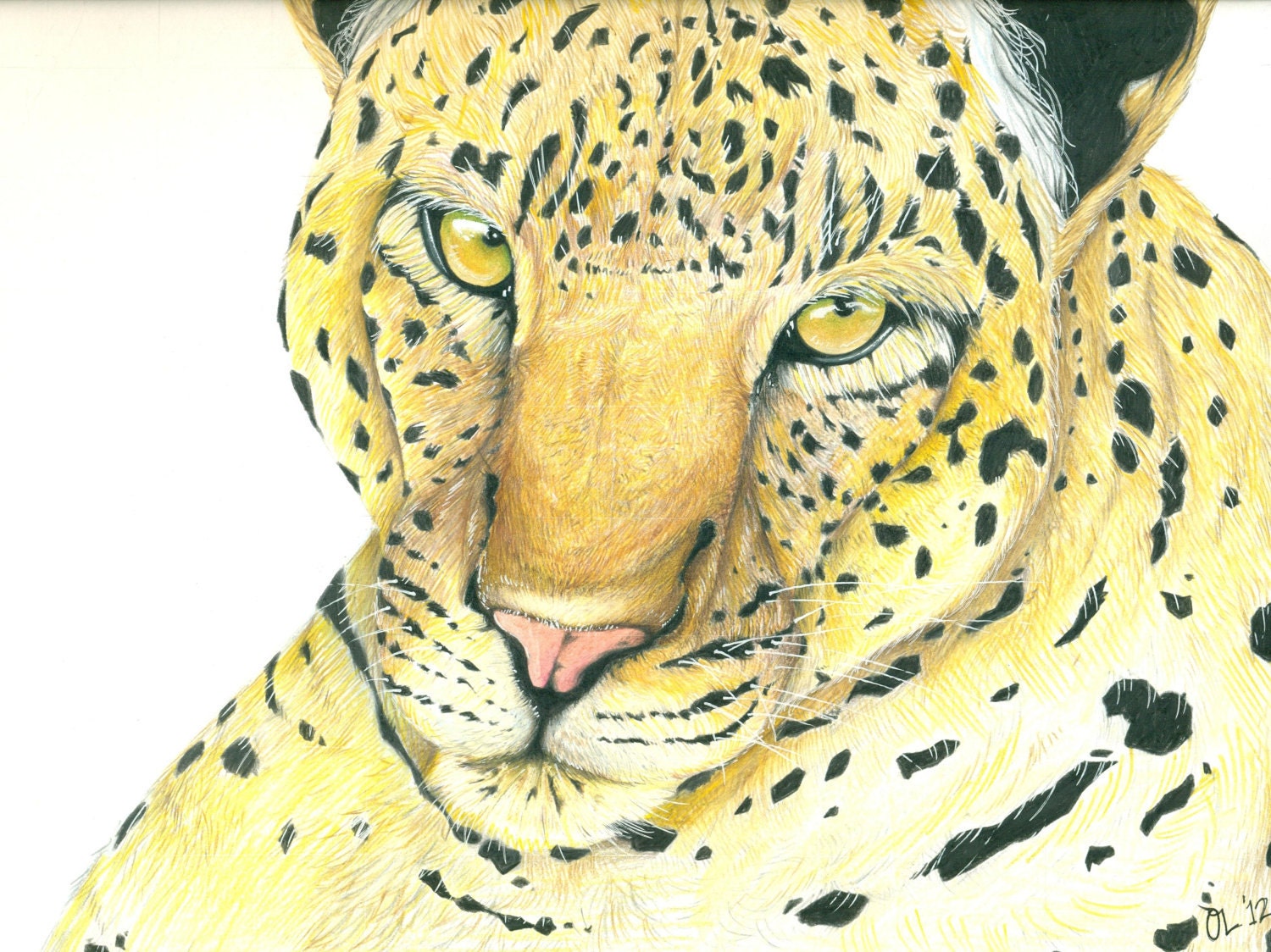 11x14 FINE ART PRINT - "Nature's Prophet"