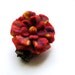Flower Red - Felt Felted Felting - Brooch - Poppy Felted Flower - Hand Felted Brooch - Red Flower Brooch - Wool Flowers Felted Brooch