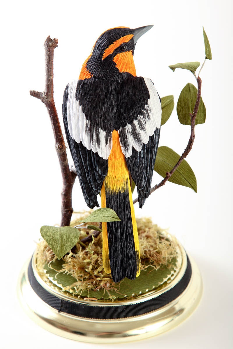 Bullocks Oriole -- Icterus bullockii 2011