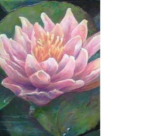 Waterlily an Original Oil, Treasury item