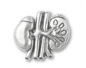 Kidneys Lapel Pin