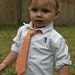 Toddler Boy Tie - Alexander Henry Garden Spirals in Apricot - Custom Sizes