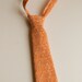 Toddler Boy Tie - Alexander Henry Garden Spirals in Apricot - Custom Sizes