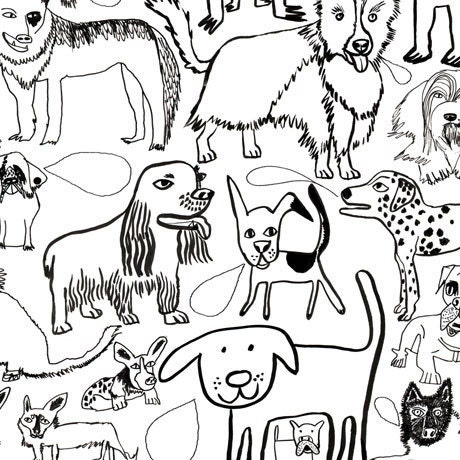 Dog Colouring Poster, Limited Edition
