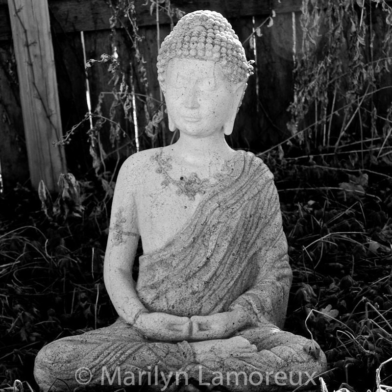 Zen Art - Peaceful Art - Meditation Artwork - Buddha in Garden Fine Art Photography - Home Decor - 8 x 8 photo