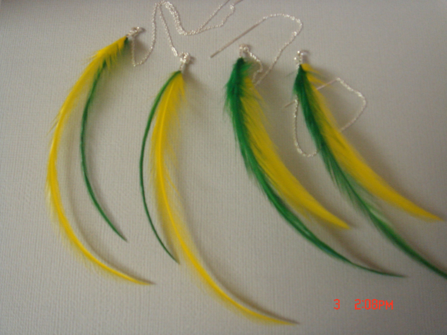 oregon ducks feathers