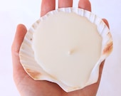 Coconut Scented Shell Candle