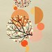 Larkspurstudio