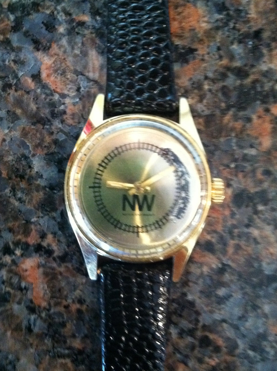 Vintage Norfolk and Western Watch